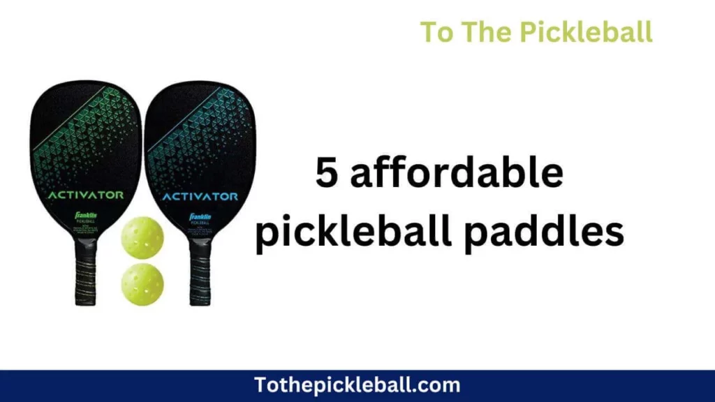 What are the top 5 affordable pickleball paddles